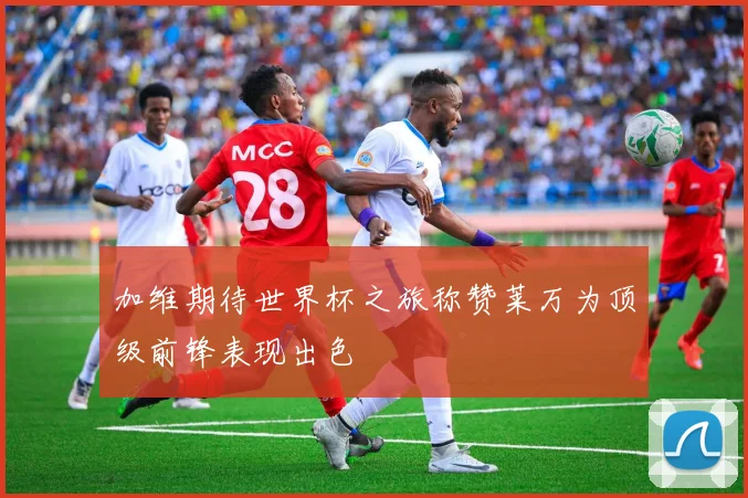 加维期待世界杯之旅称赞莱万为顶级前锋表现出色