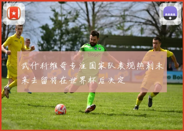 武什科维奇专注国家队表现热刺未来去留将在世界杯后决定