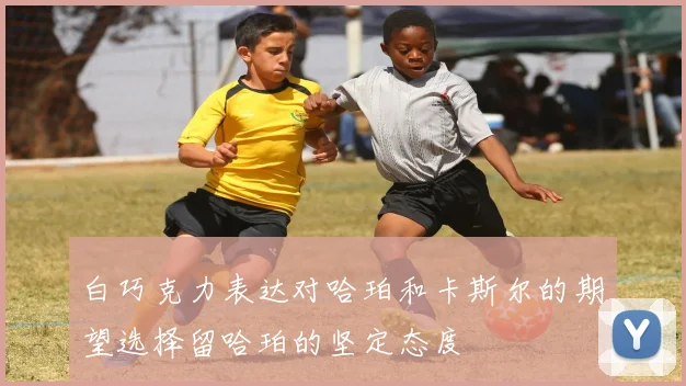 白巧克力表达对哈珀和卡斯尔的期望选择留哈珀的坚定态度
