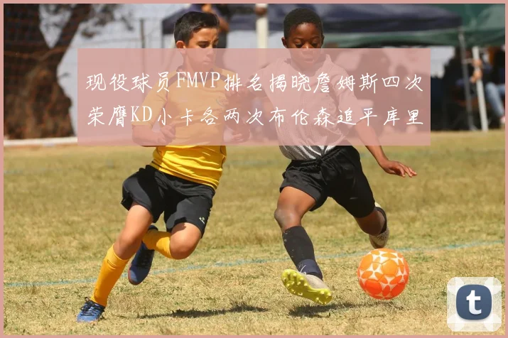 现役球员FMVP排名揭晓詹姆斯四次荣膺KD小卡各两次布伦森追平库里与约基奇